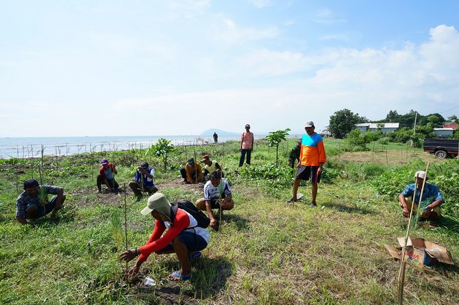 kodim banyuwangi tanam 25 ribu bibit cemara