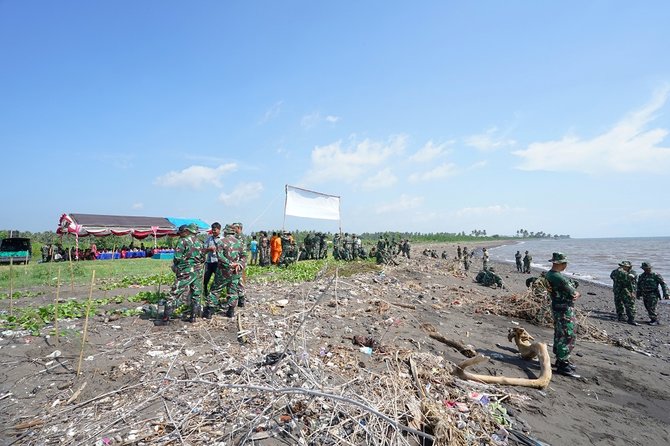 kodim banyuwangi tanam 25 ribu bibit cemara