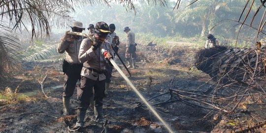 21 Orang Jadi Tersangka 16 Kasus Kebakaran Hutan dan Lahan Riau