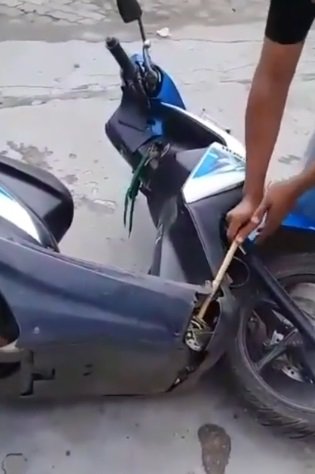 ular di dalam kap motor