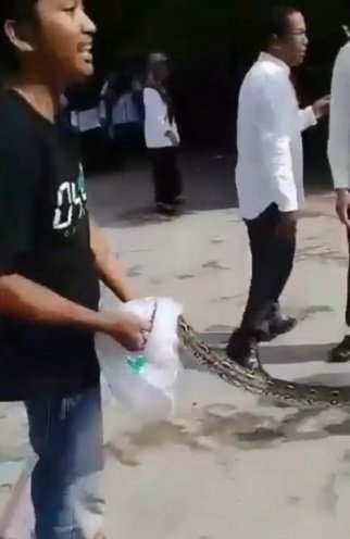 ular di dalam kap motor