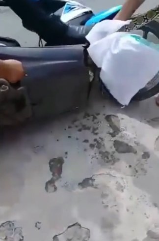 ular di dalam kap motor