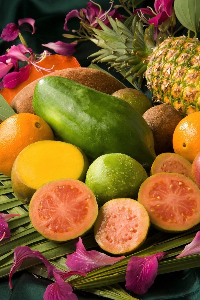 ilustrasi buah buahan tropis
