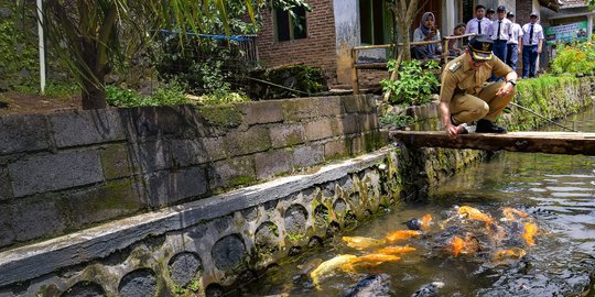 Keren Sungai Kecil Di Banyuwangi Disulap Jadi Kolam Ikan
