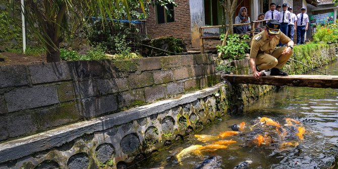 Gambar Ikan Kecil Di Sungai Keren Sungai  Kecil  di  Banyuwangi Disulap Jadi Kolam 