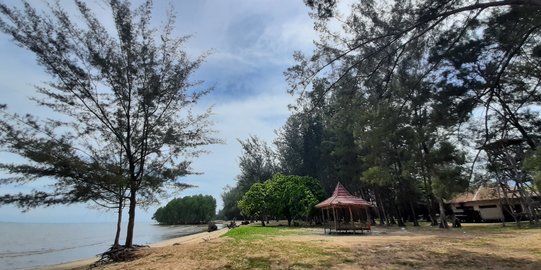 Wajah Kotor Pantai Tanah Merah Samboja