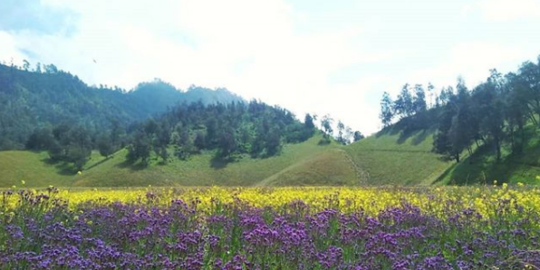 Gunung Semeru Semburkan Awan Panas Sejauh Lebih dari 3 Km