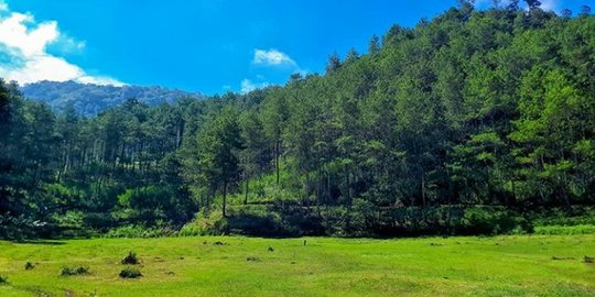 4 Keunikan Padang Rumput di Ponorogo, Tanahnya Bisa Bergoyang