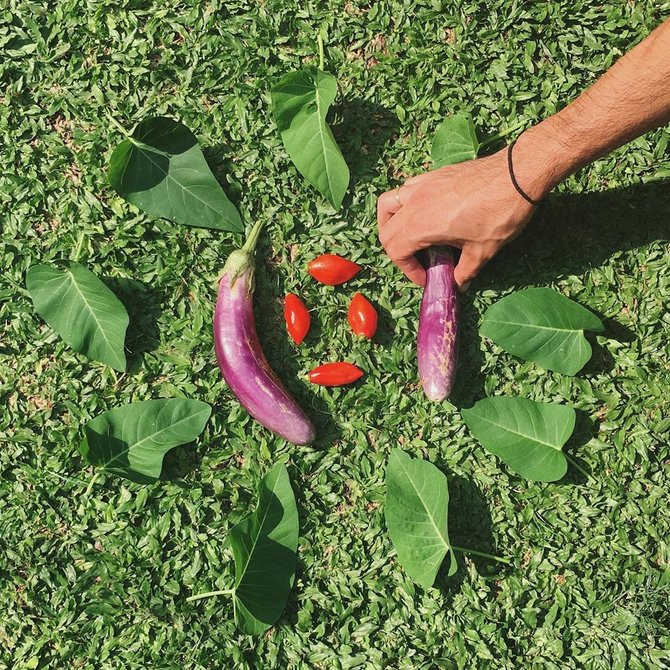 rara sekar kebun