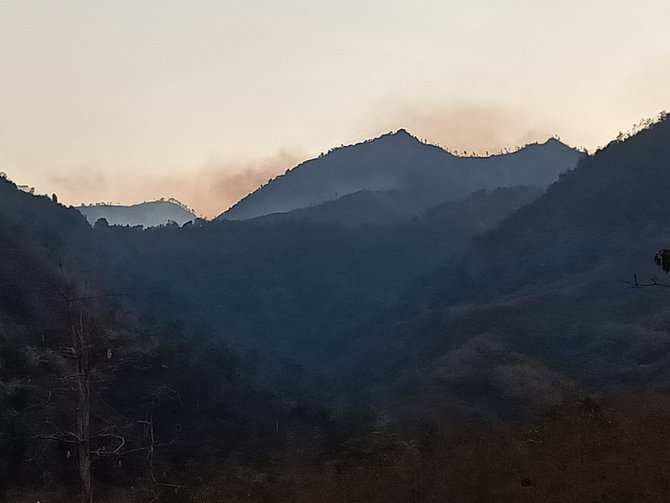 lereng gunung wilis kediri terbakar