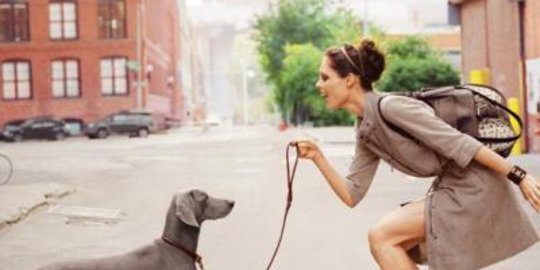 anjing peliharaan di hong kong terinfeksi corona, kasus pertama dari manusia ke hewan