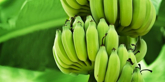 7 Manfaat Pisang yang Jarang Diketahui, Bisa Atasi Nyeri PMS