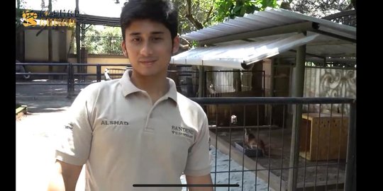 Alshad Ahmad Tambah Koleksi Satwa Baru, Walabi Asal Australia