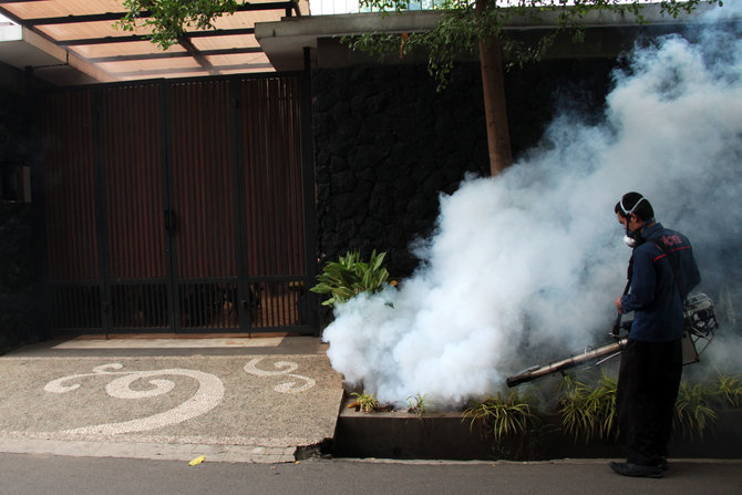 fogging nyamuk demam berdarah