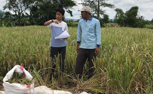 petani milenial cianjur