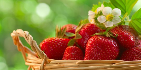 8  Manfaat Strawberry Untuk Kesehatan , Salah Satunya Dapat Memutihkan Gigi