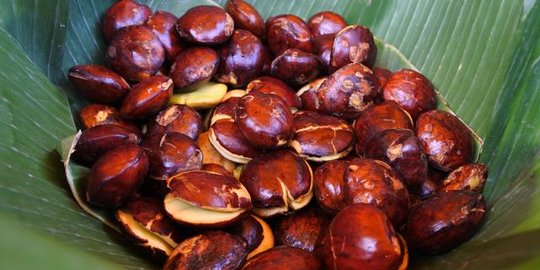 15 Manfaat Jengkol Untuk Kesehatan Tubuh Cegah Radikal Bebas Merdeka 