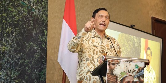 Budi Karya Positif Corona, Luhut Ditunjuk Jadi Menteri Perhubungan Sementara