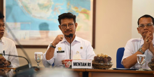 Mentan Jamin Stok 11 Kebutuhan Pokok Aman Hingga Agustus