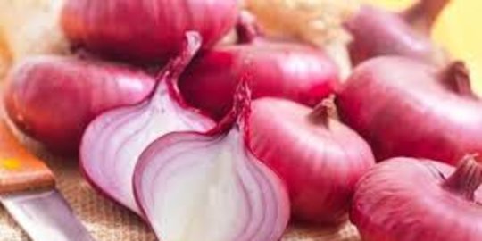 10 manfaat bawang merah bagi kesehatan bantu tingkatkan imun tubuh