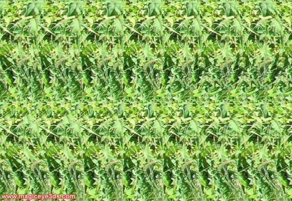 ilustrasi stereogram