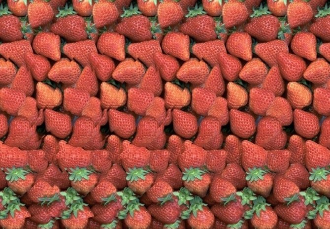 ilustrasi stereogram