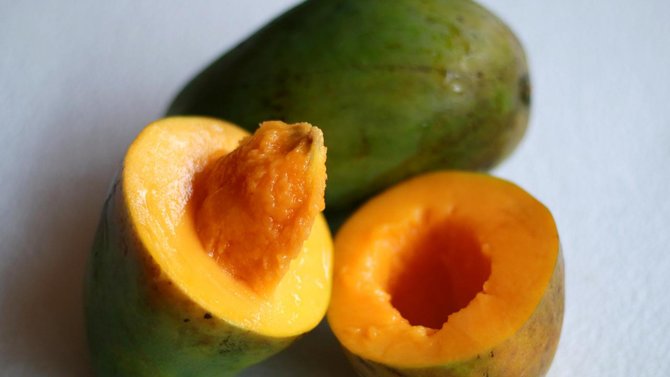 Buah Gadung 8 Jenis Mangga di Indonesia yang Manis dan Menyegarkan 