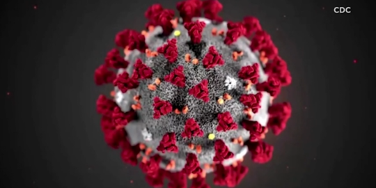 Gejala Virus Corona, Ciri-Ciri dan Cara Pencegahannya Rekomendasi WHO