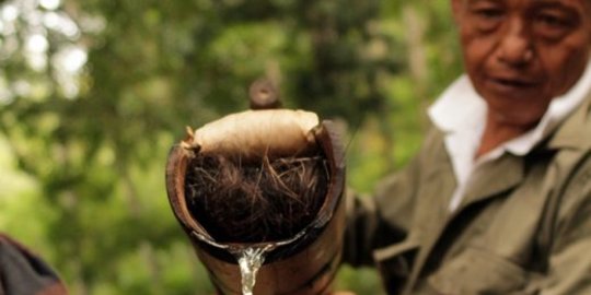 7 Fakta Lahang, Minuman Isotonik Tradisional Jawa Barat yang Penuh Khasiat