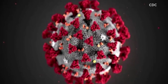 Cara Perkembangan Virus Corona Dari Para Ahli dan WHO, Perlu Diketahui