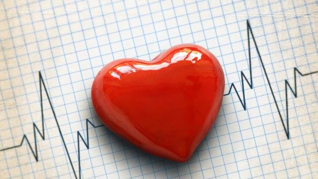 10 fungsi hati bagi manusia
