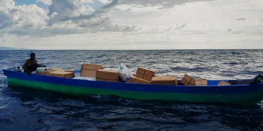 Pohon Tembakau Polairud Polda NTT Amankan Kapal Pengangkut Tembakau  