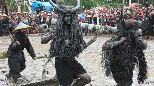 kebo keboan banyuwangi