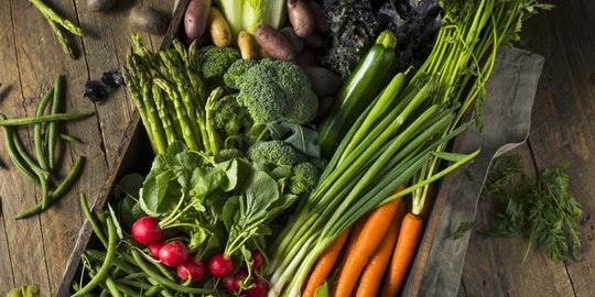 10 Macam Macam Sayuran yang Baik untuk Bantu Tingkatkan Imunitas Tubuh