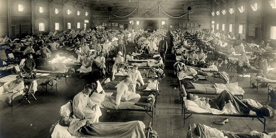 Hindia Belanda di Masa Flu Spanyol, Pandemi 1918 yang Membunuh Jutaan Jiwa