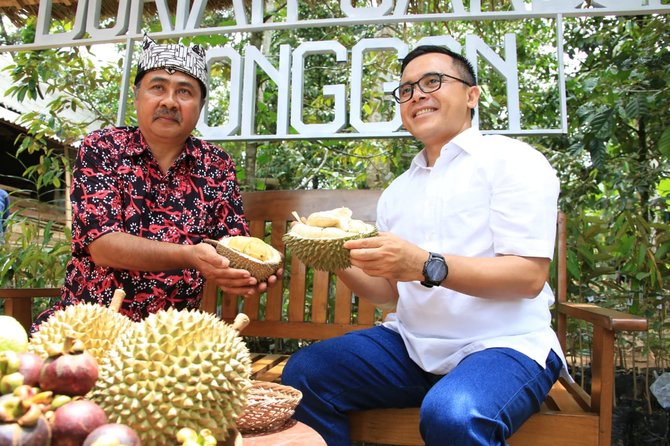bupati abdullah azwar anas panen duren banyuwangi