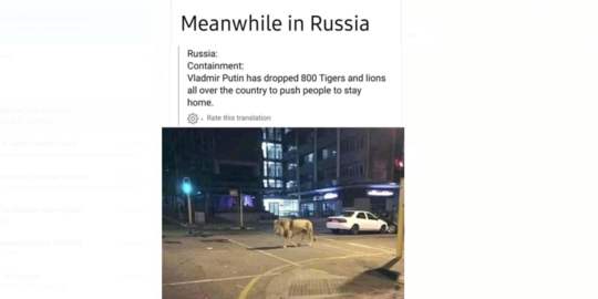 CEK FAKTA: Hoaks Vladimir Putin Lepas 800 Singa Agar Warga Tetap di Rumah
