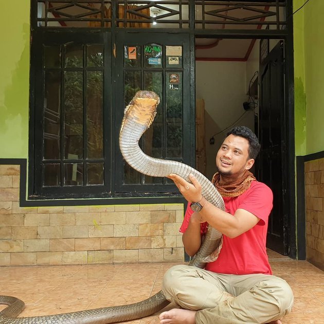 artis dengan peliharaan unik