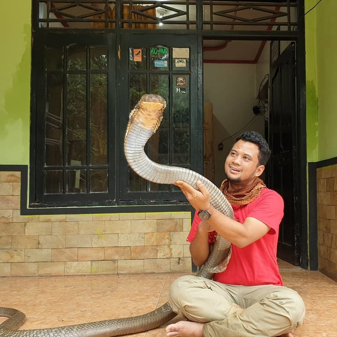 seleb dan hewan