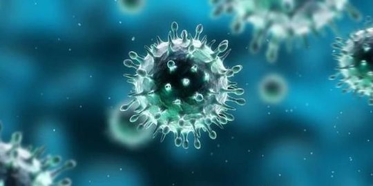 Begini Cara Kerja Imun Tubuh Melawan Infeksi Virus Corona dan Penyakit Lainnya