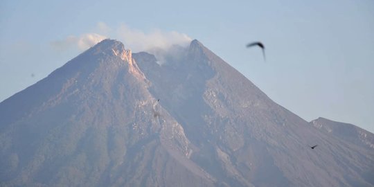 Gunung Merapi Erupsi, Tinggi Kolom Capai 5000 meter