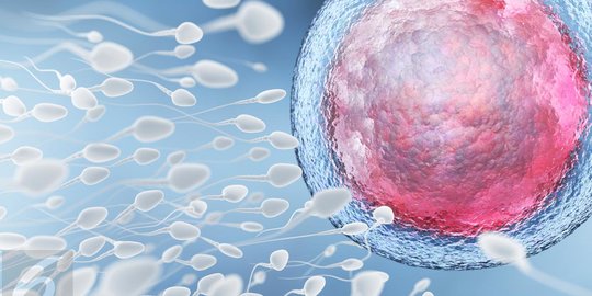 Kenali Berbagai Kelainan Sperma, Penting Bagi yang Belum Punya Keturunan