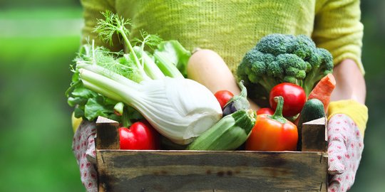 12 Cara Menyimpan Bahan Makanan Segar Agar Tahan Lebih Lama Selama Karantina Wilayah