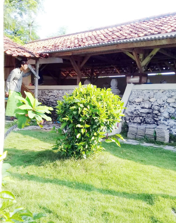 bujuk pongkeng