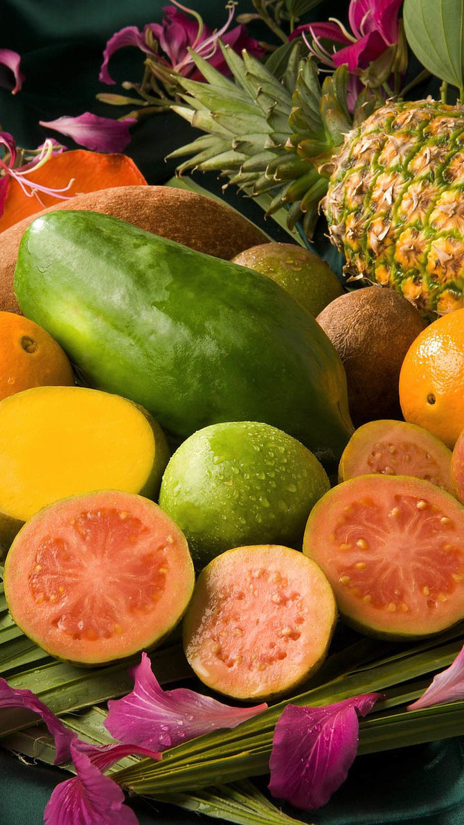 ilustrasi buah buahan tropis