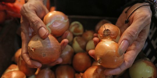 10 Kontainer Bawang Bombai dari Selandia Baru Tiba di RI, Segera Didistribusikan