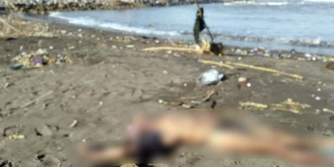 Mayat Pria Luka di Kepala Ditemukan Nelayan di Pinggir Pantai Pancer Jember