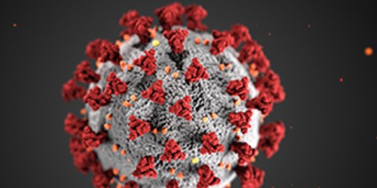 Virus Corona Menjadi Penyakit Mematikan, Begini Penjelasan Ahli Virologi