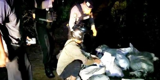 Warga Sampit Temukan 10 Karung Berisi Ular Piton di Pinggir Jalan, Polisi Telusuri