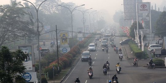 7 Dampak Kebakaran Hutan Bagi Kesehatan Manusia, Perlu Diwaspadai